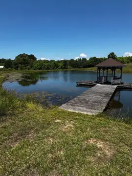 Equestrian-Ready Rural Acreage