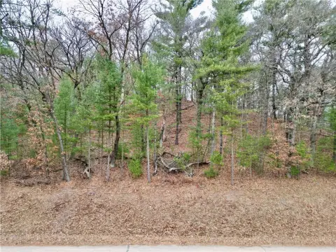 Wooded Lot in Eau Claire