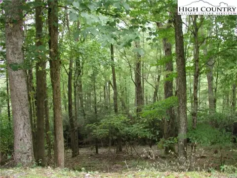 Vilas, NC Land Opportunity