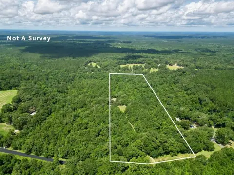 Lumberton Land with Mature Trees