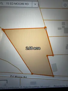 Wooded Lot in Carriere, MS