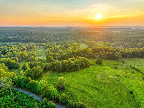 94 Acres Pasture and Timberland