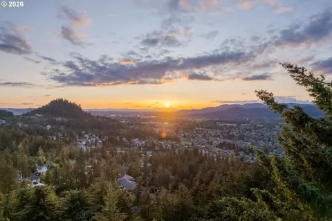 Thurston Hills Land Opportunity