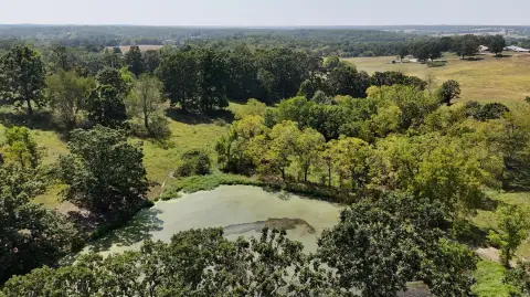Pasture Farmland with Three Ponds
