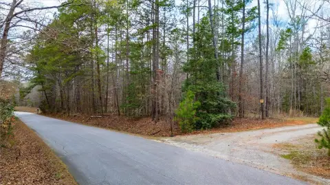 9.2 Acres of Wooded Land