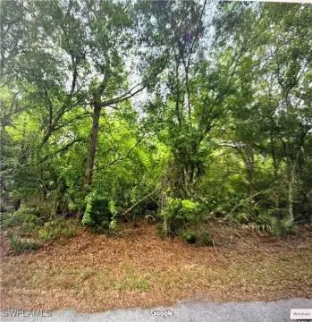 Residential Land in Punta Gorda