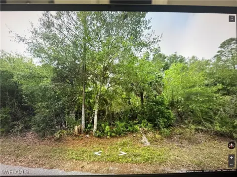Residential Land in Punta Gorda