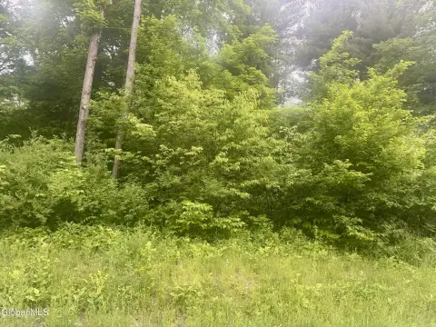 91-Acre Vacant Land Parcel