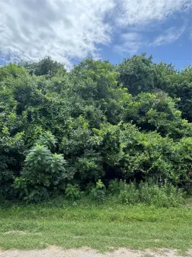 Residential Lot in Gated Resort