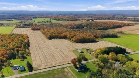 Farmland with Mature Woodlands