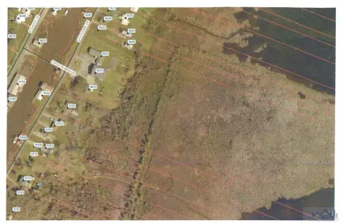 Wooded Hunting Land