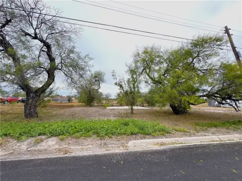 Kingsville Land For Sale
