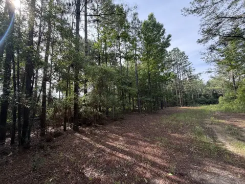 Recreational Hunting Land with Creek