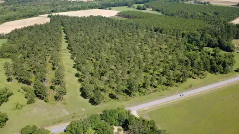 Land Tract with Paved Road Frontage