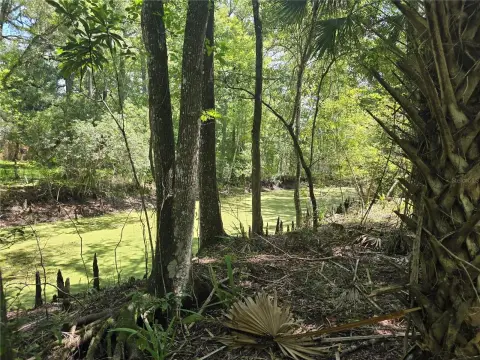 Waterfront Land Parcel