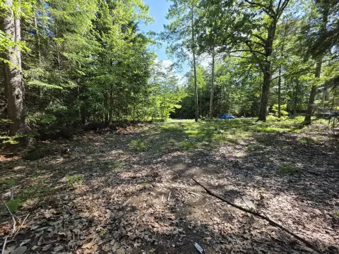Cleared Recreation Land Parcel