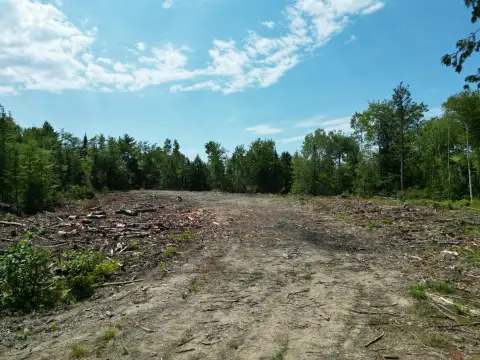 Wooded Hunting Land