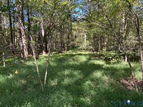 Wooded Lot in Williamsburg, VA