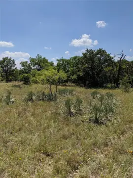Residential Land Parcel with Mature Trees