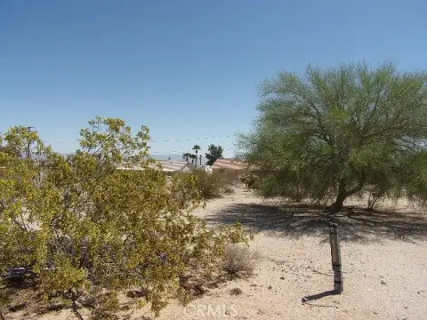 29 Palms Land Parcel
