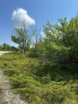 Vacant Land Near Sister Bay