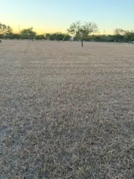 Three Acres in Rancho Banquete