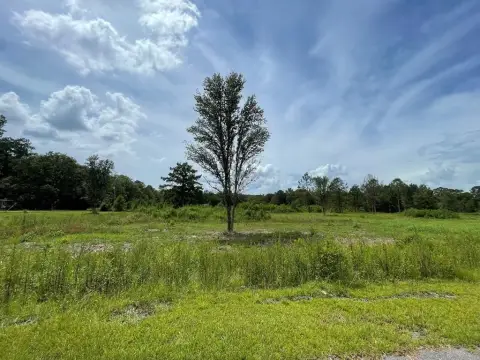 Residential Lot in Picayune, MS