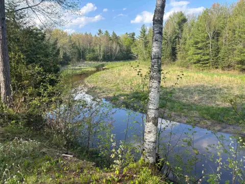 Vacant Land on Tittabawassee River