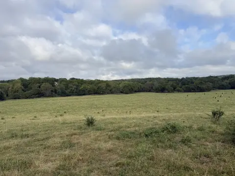 Agricultural Land with Barbed-Wire Fencing