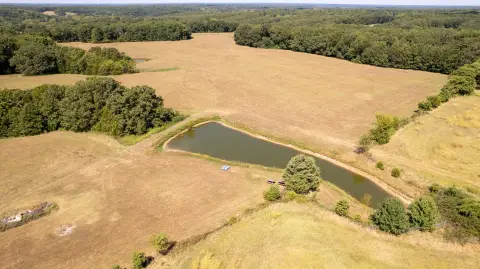 Fenced Agricultural Land