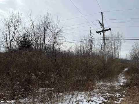 Vacant Land in Howell, Michigan