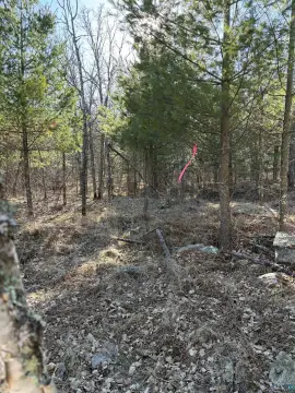 Two Acres Private Land
