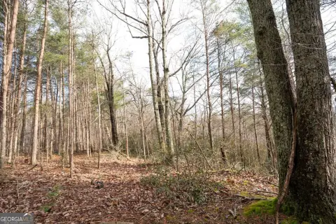 Residential Land in Jasper, GA