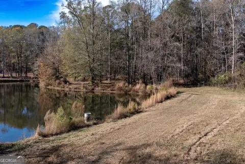 Brooks GA Lakefront Land Listing