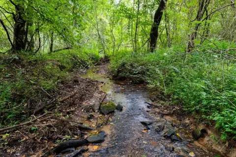 Ellijay Acreage with Creek Frontage