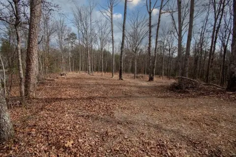2.8 Acres Wooded Vacant Lot