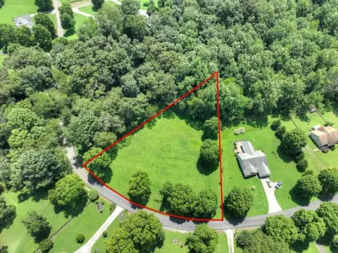 Ellijay Vacant Lot in Cartecay