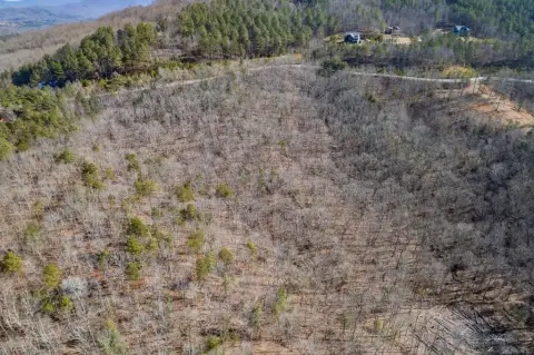 Blairsville Vacant Lot with Mountain Views