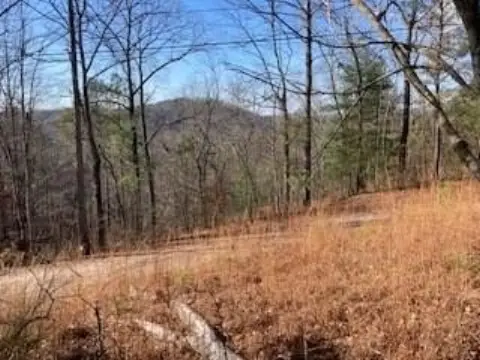 Ellijay Vacant Lot with Amenities
