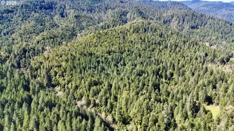 Rogue River Timberland Retreat