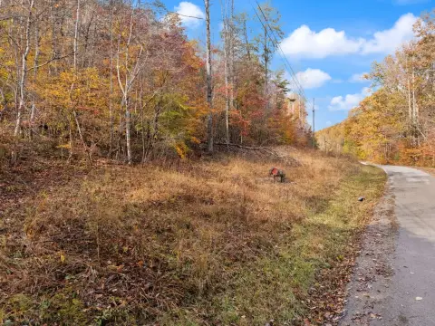 Secluded Wooded Land Near Morehead