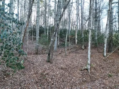 Blairsville Vacant Lot For Sale