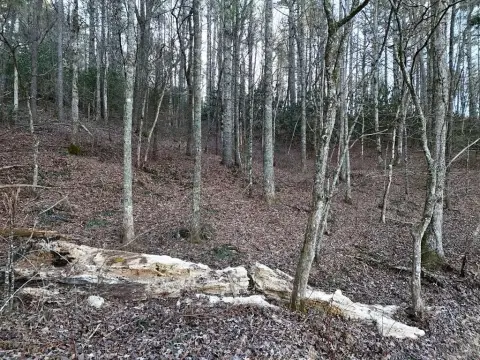 Blairsville, GA Vacant Lot