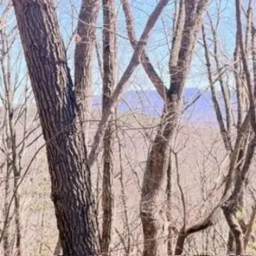 Ellijay, GA Vacant Land