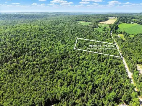 Wooded Level Hunting Land Parcel