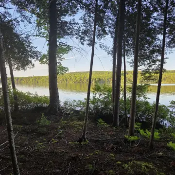 Waterfront Land with Boat Access