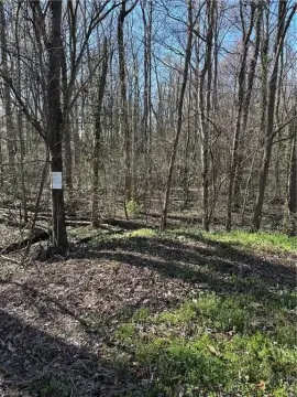 Residential Lot in Established Neighborhood