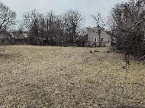 Residential Lots in Detroit, MI
