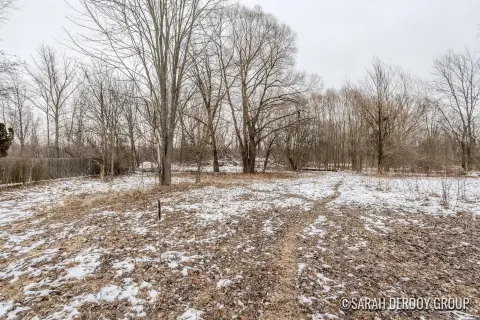 Residential Lot in Cedar Springs