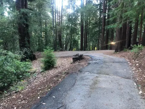 Brookdale Land Near Hiking Trails